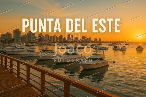 Foto 11 — Especiales de Uruguay por Joaco | FotoLink.uy