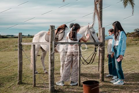 Foto 20 — Chacra Turística en Canelones por Joaco | FotoLink.uy