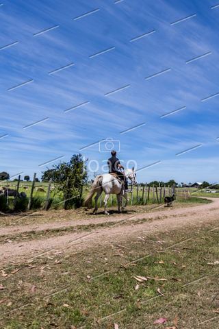 Foto 14 — Chacra Turística en Canelones por Joaco | FotoLink.uy