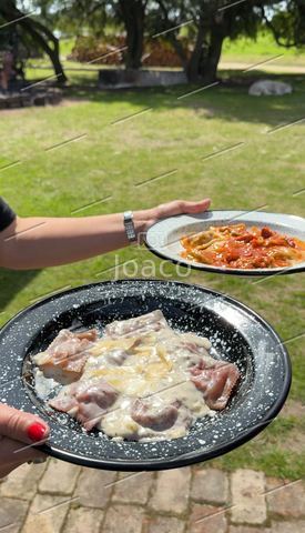 Foto 10 — Chacra Turística en Canelones por Joaco | FotoLink.uy